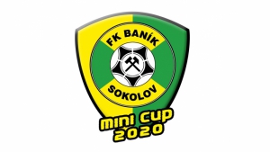 Minicup 2020