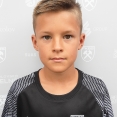 František Vlášek