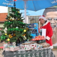 Advent Cupy 2024 přípravky FK Baník Sokolov 